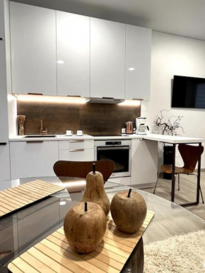 Kaunas Old Town Apartment